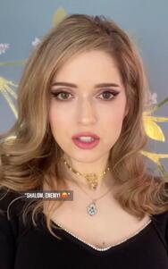 Miriam Anzovin with caption that reads "Shalom Enemy"