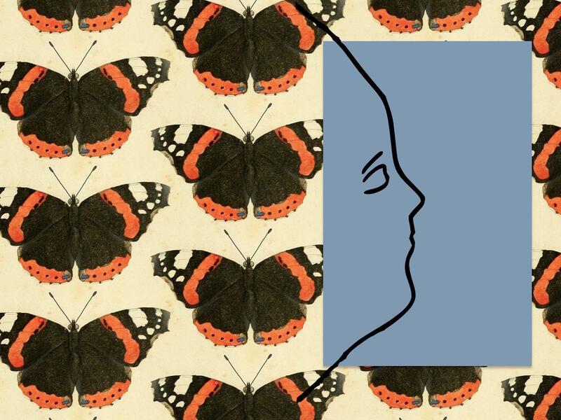 Illustration of Silhouetted Face Over Butterfly Background