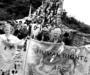 Women from an NGO Forum on Women at the Great Wall of China, 1995