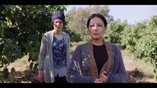 Still from Israeli ultra-Orthodox film Entangled: one woman (right) in focus and woman out of focus behind her standing surrounded by trees