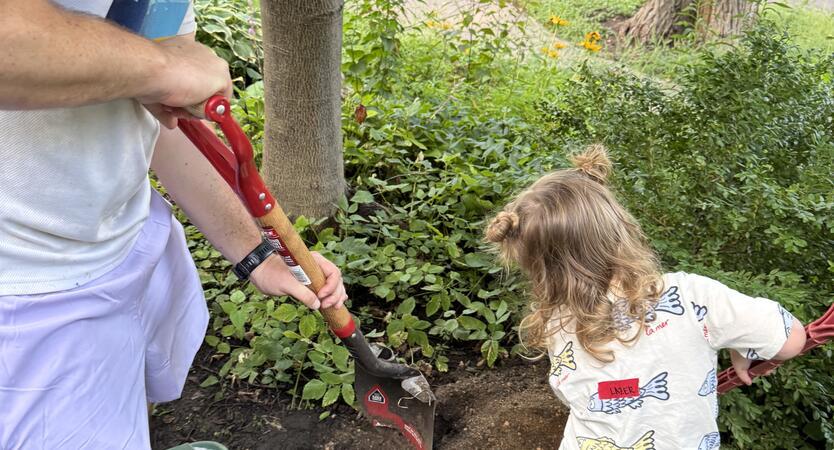 Father and daughter digging a hole for placenta burial