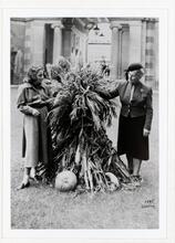 A younger woman and Adele Ginzberg holding a large bunch of reeds