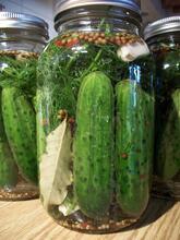 Dill Pickles