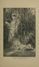 Moses in the Bulrushes