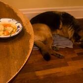 Cassie and the Vegetarian Matzoh Ball Soup