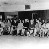 National Organization for Women (NOW) Participants, 1966