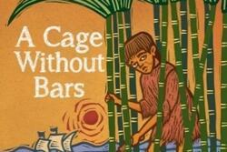 A colorful woodcut-style illustration of a boy trapped in a grove of sugar cane, holding a machete, with a ship on the ocean in the background
