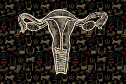 A uterus superimposed over images of Hanukkah items