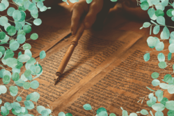 Torah with nature frame