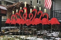 Brandi Larsen's Flamingo Menorah