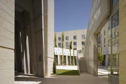 Courtyard with plants in an academic campus, minimalistic and angular