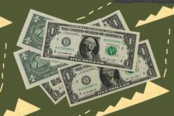Collage of dollar bills