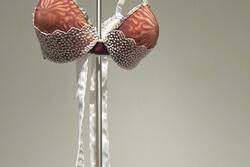 A Bra Hanging