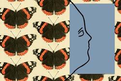 Illustration of Silhouetted Face Over Butterfly Background