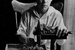 A Young Boy Slices Swiss Chard, 1917