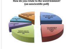 Are You a Feminist?: An Unscientific Social Media Poll and Graph by JWA