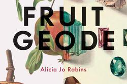 Fruit Geode Book Cover