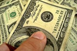 One Hundred Dollar Bill