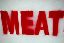 Meat