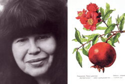 Rosh Hashanah Marge Piercy