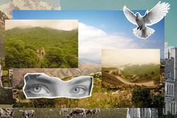 Collage of landscapes and doves