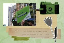 Collage of pro-choice poster on green background