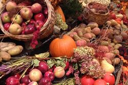 Sukkot Harvest