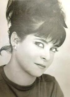 Gloria Gervitz, 1970s-1980s