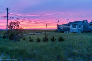 Summer on Plumb Island