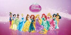 The Disney Princesses