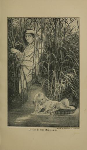 Moses in the Bulrushes