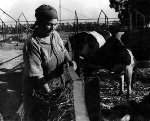 Miriam Baratz at Kevuzat Deganyah Aleph