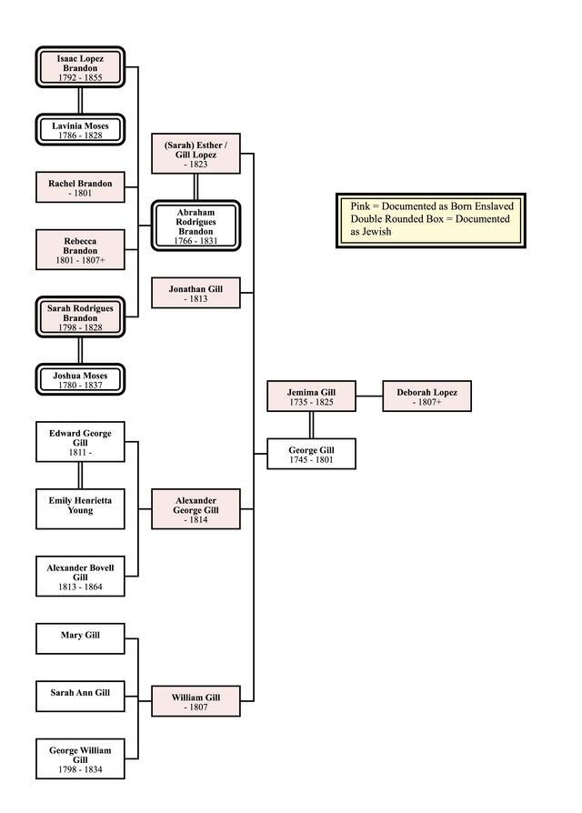 Three generations of a family tree, indicating that 10 out of 20 members are documented as born enslaved and 5 out of 20 are documented as Jewish, with two both born enslaved and Jewish.