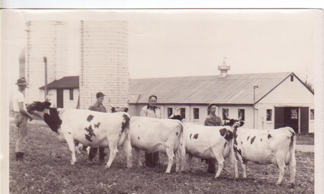 Dairy Farm