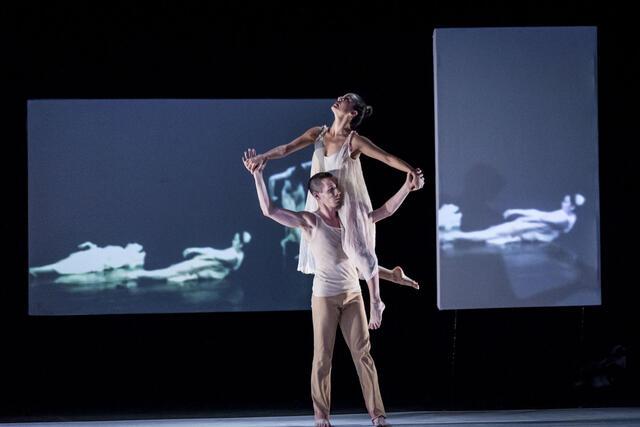 Dance Argentina - Renate virtual y sus actuales 