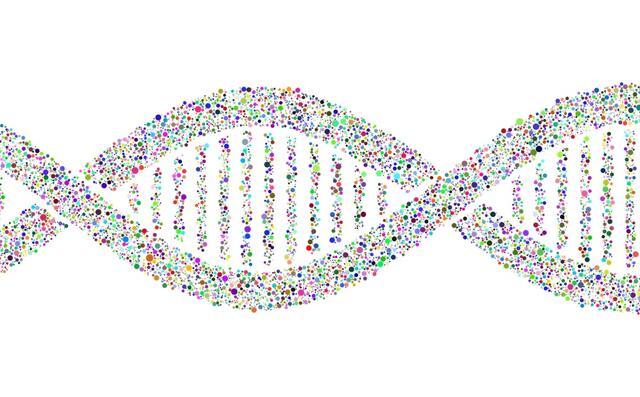 DNA Double Helix