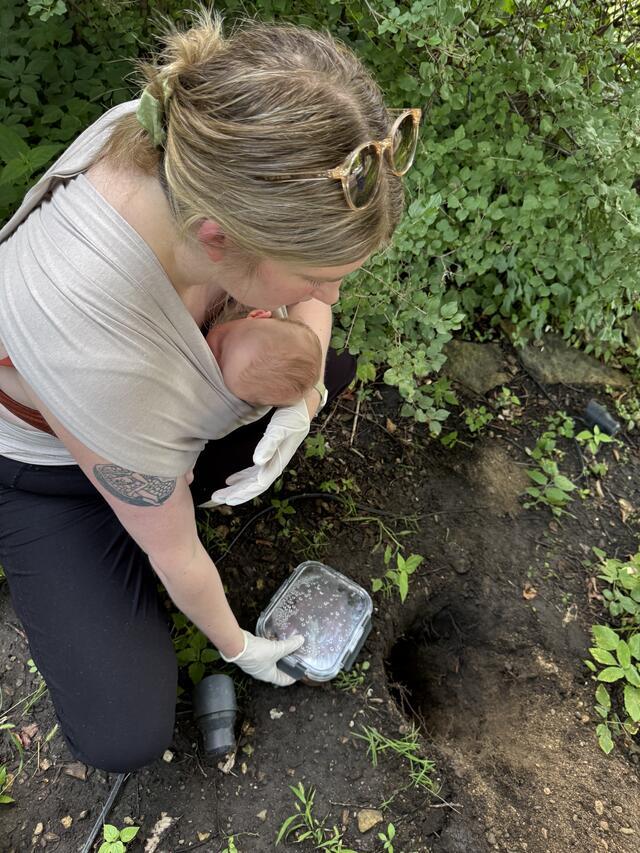 Lucy's Placenta Burial