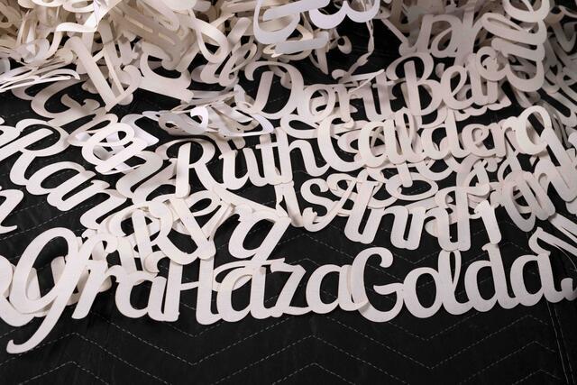 Detail from "What We Bring" by Andi Arnovitz